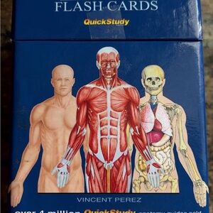 Anatomy Flash Cards